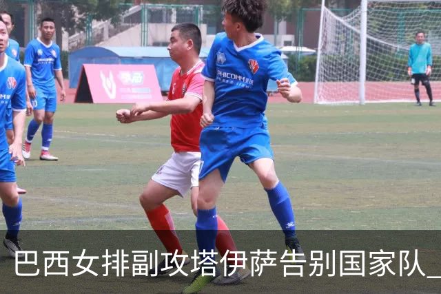巴西女排副攻塔伊萨告别国家队 4战奥运夺2金1铜